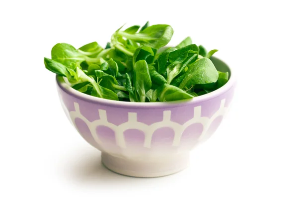 Corn salad, lamb's lettuce in ceramic bowl — Stock Photo, Image