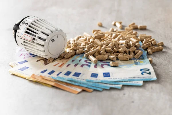 Holzpellets Euroscheine Und Thermostat Kopf Ökologisches Heizen — Stockfoto