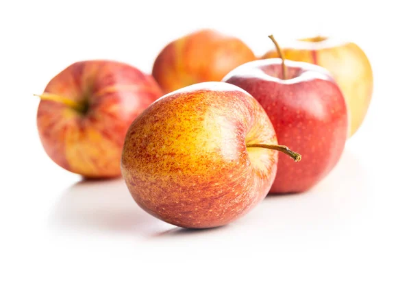 Fresh Autumn Apples Isolated White Background — Stock Photo, Image