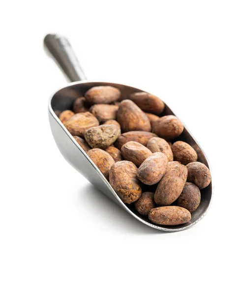 Metal Kepçeli Kuru Kakao Çekirdekleri Beyaz Arka Planda Izole Edilmiş — Stok fotoğraf
