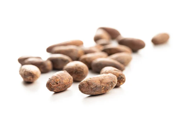 Dried Cocoa Beans Isolated White Background — Foto Stock