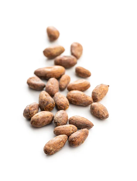 Gedroogde Cacaobonen Geïsoleerd Witte Achtergrond — Stockfoto