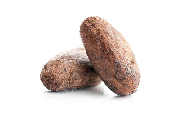 Dried Cocoa Beans Isolated White Background — 图库照片