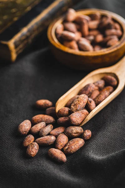 Gedroogde Cacaobonen Cacaobonen Houten Bolletjes — Stockfoto