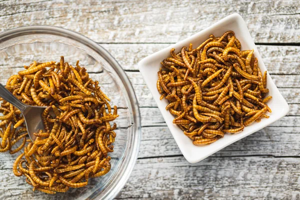 Fried Salty Worms Roasted Mealworms Bowl Top View — Stock Photo, Image