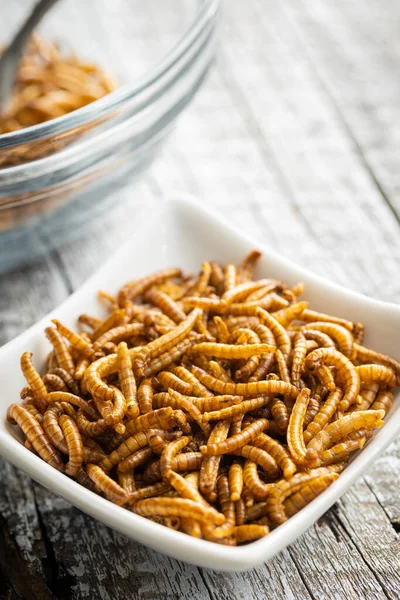 Fried Salty Worms Roasted Mealworms Bowl — Stock Photo, Image