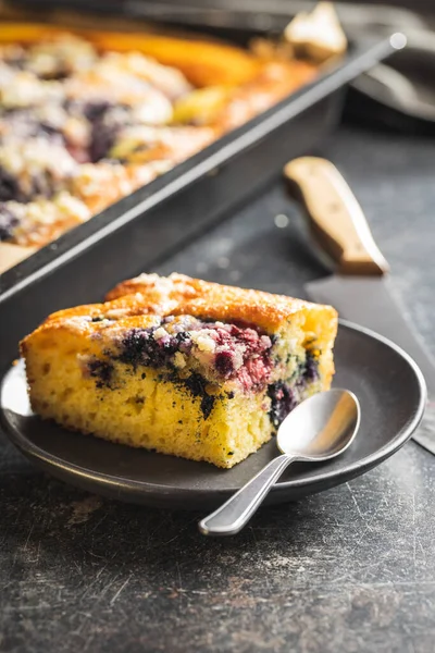 Gâteau Éponge Fait Maison Aux Fruits Tarte Sucrée Fruitée — Photo