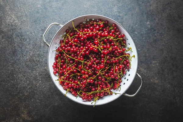 Ripe Red Currant Colander Top View Royalty Free Stock Fotografie