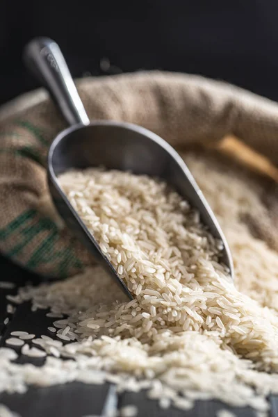 Uncooked White Rice Metal Scoop — Foto de Stock