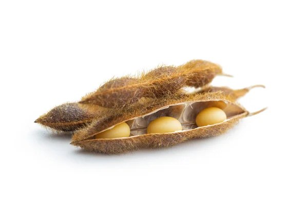Soy Beans Dried Soybean Pod Isolated White Background — Stock Photo, Image