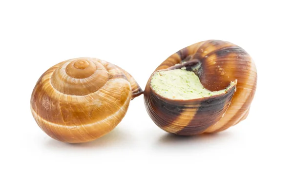 Slakken Met Peterselie Boter Bourgogne Escargot Slakken Geïsoleerd Witte Achtergrond — Stockfoto