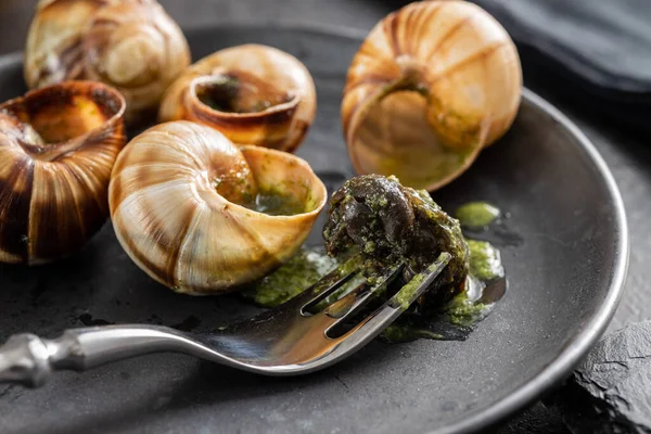 Sniglar Med Persiljesmör Bourgogne Escargot Snails Tallriken Delikatessmat — Stockfoto