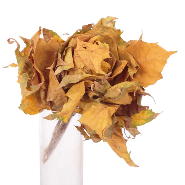 Flower made of autumn leaves — Stock Image Flower made of autumn leaves Stock Picture