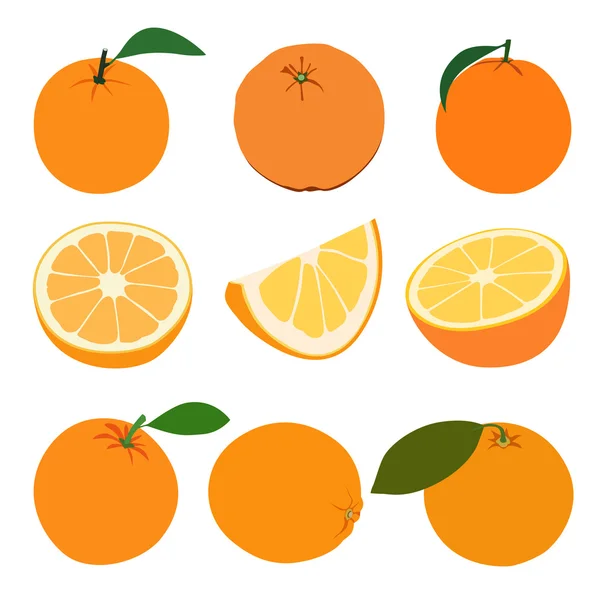Conjunto de naranjas — Vector de stock