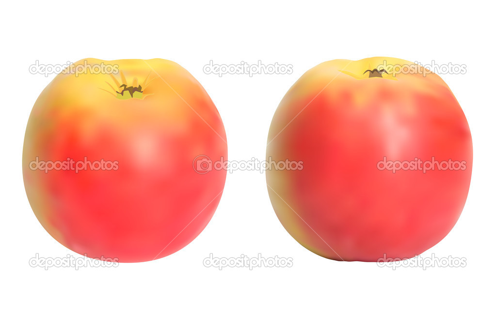 Realistic apples set. Isolated on white. Vectore