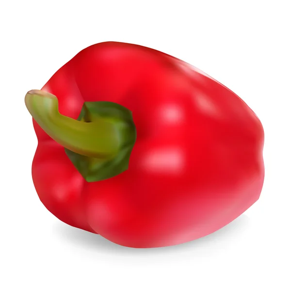 Photo-realistic vector. Red sweet pepper — Stock Vector
