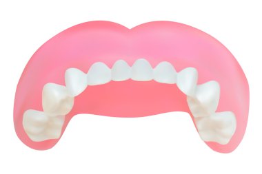 üst çene dişleri. vektör çizim