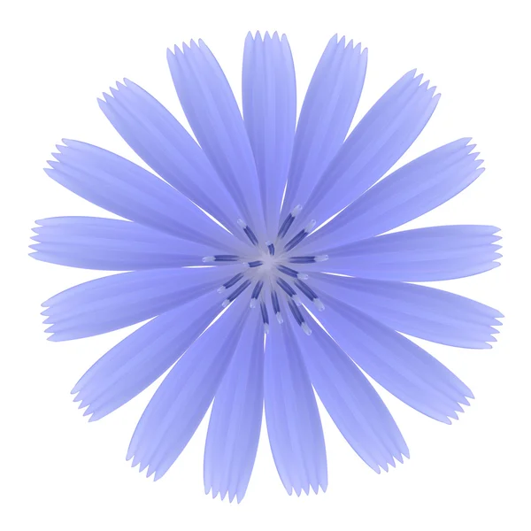 Blue flower. Photo-realistic vector. — Stock Vector