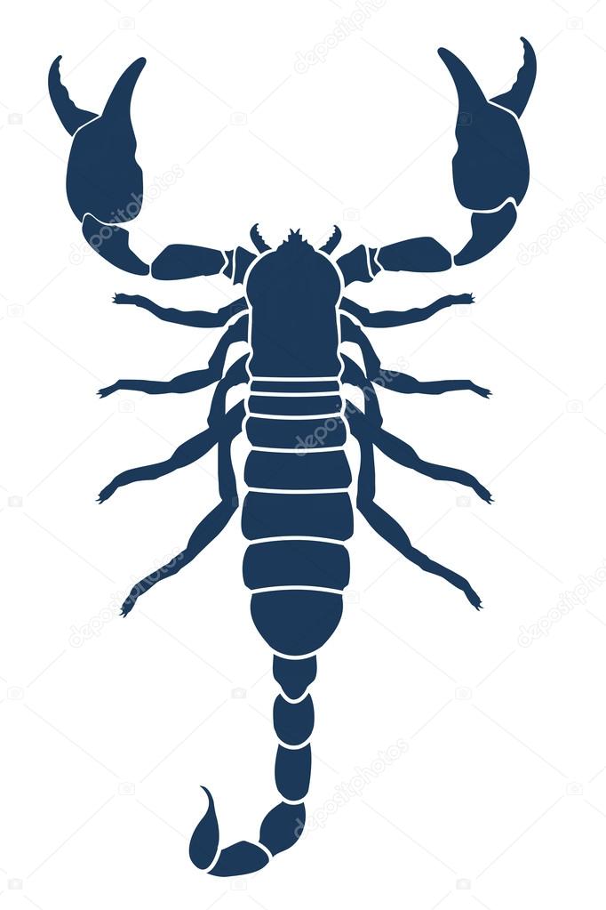 Scorpion tattoo. Vector illustration