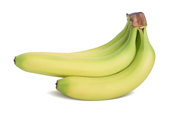 Bananes jaunes-vertes. Illustration vectorielle réaliste . — Image vectorielle
