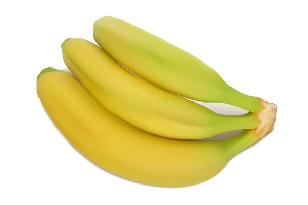 Plátanos amarillo-verdes. Ilustración vectorial realista . — Vector de stock