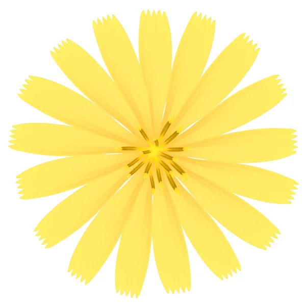 Fleur jaune. Illustration vectorielle . — Image vectorielle