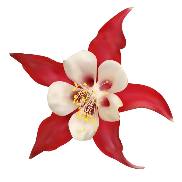 Fleur rouge. Illustration vectorielle — Image vectorielle