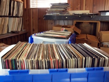Vinil Kayıtları