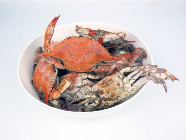 kase pişmiş mavi yengeç