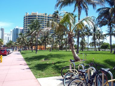 miami beach Florida Park