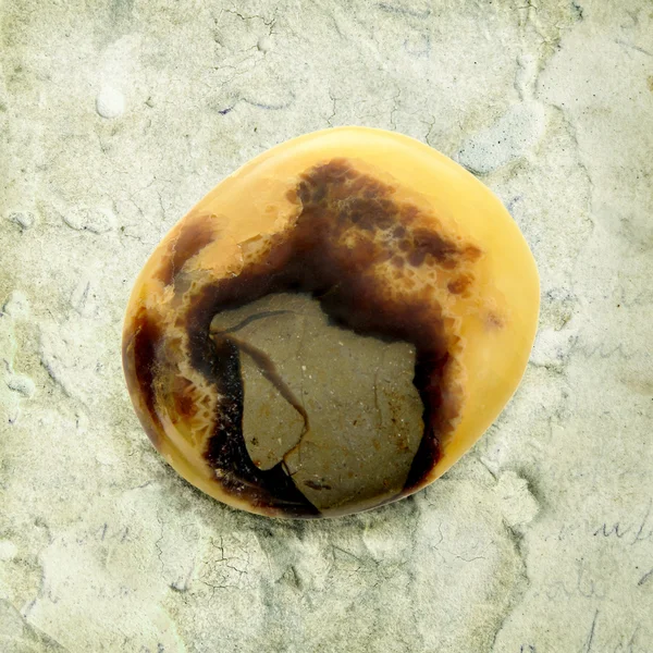 ビンテージ背景に septarian ストック画像