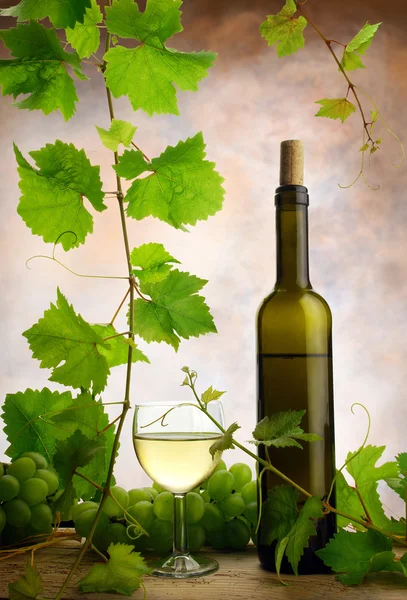 Vin och grapevine — Stockfoto