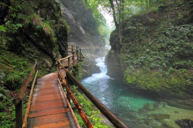 Kanyon vintgar, triglav - Slovenya,