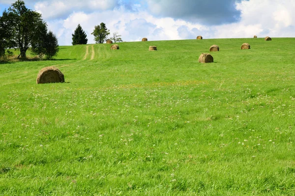 Idyllic rural views — Stock Photo, Image