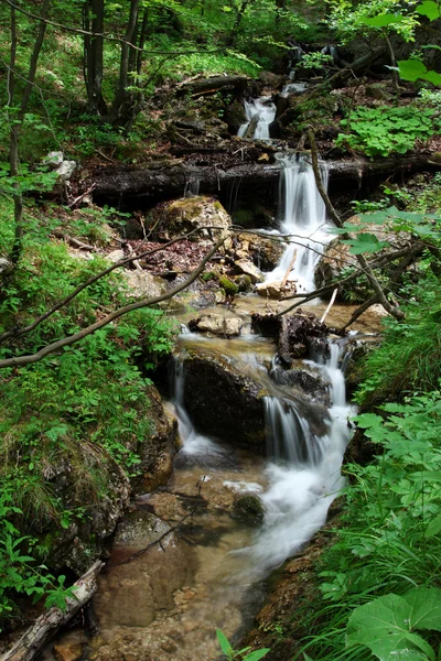 Cascada pequeña — Foto de Stock