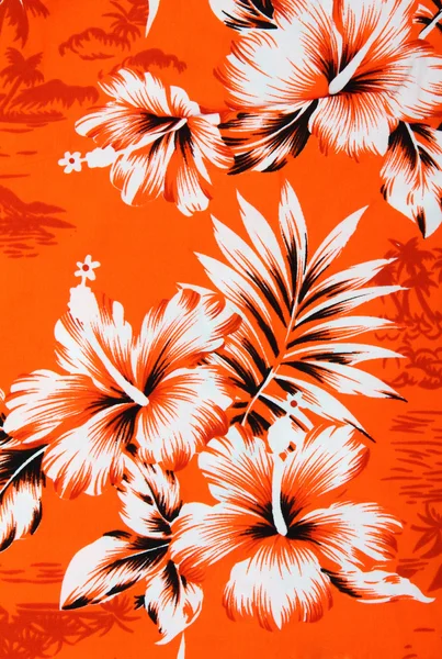하와이 식 무늬 — 스톡 사진