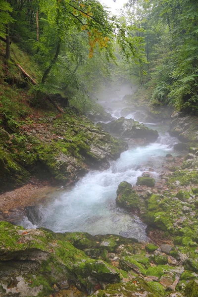 Río en Cañón Vintgar - Eslovenia, Triglav — Foto de Stock