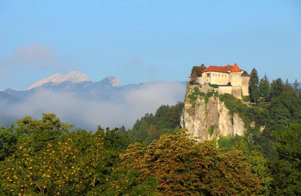 Castillo de Bled, Alpes, Eslovenia . —  Fotos de Stock