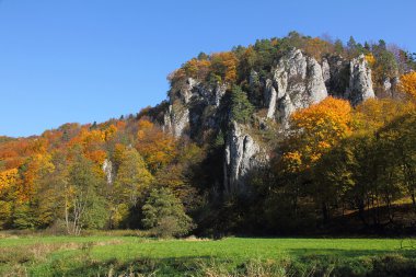 renkli orman ve kalkerli kayaları, sonbahar yatay