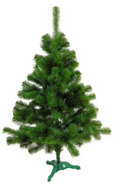 Evergreen christmas tree undecorated isolated on white background — Stock Photo, Image