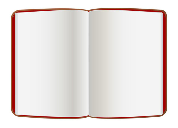 Книга открытая из кожи
