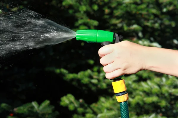 Watering the plants on garden — Stock Photo, Image