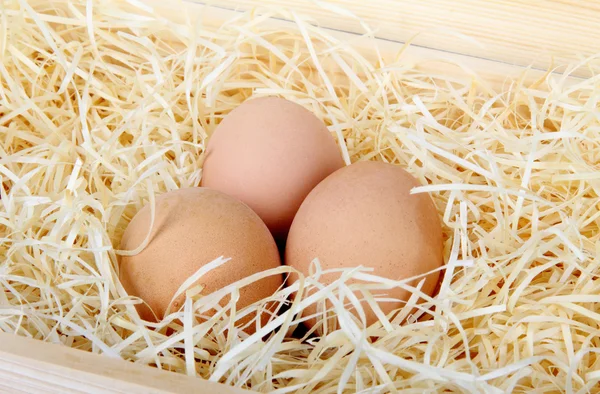 Close-up brown chicken eggs on a bed of straw — Stock Photo, Image