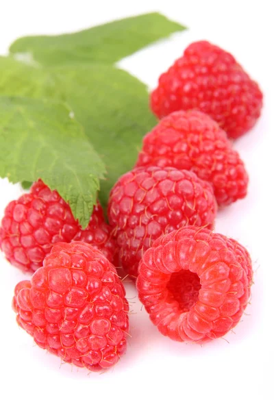 Raspberries with leaves on white background — Stock Photo, Image