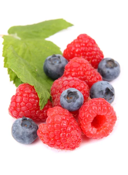 Ripe raspberry and Blueberries with leaf — Stock Photo, Image