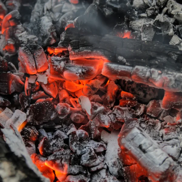 Fondo de los embriones — Foto de Stock