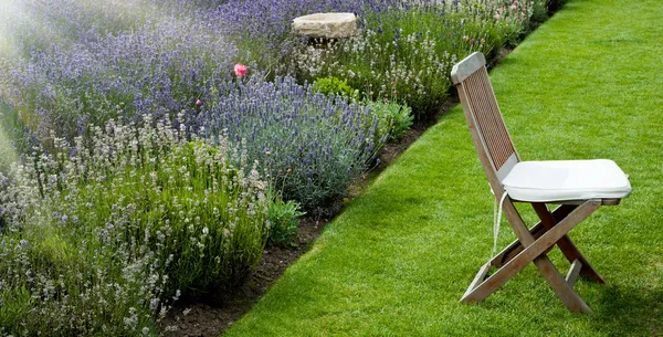아침에 라벤더 정원 — 스톡 사진