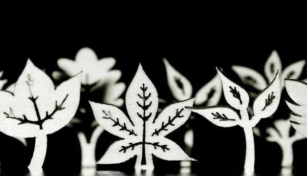 黒と白の木製の葉の形状 — ストック写真