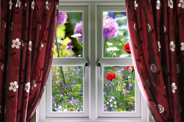 Window view onto wild summer garden — Stock Photo, Image