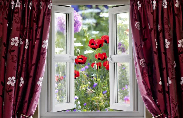 Aperto finestra vista sul giardino di fiori selvatici — Foto Stock